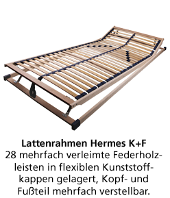 Programm MELODY FLEX
