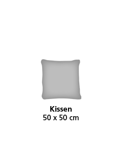 Programm SPRING-L PLUS