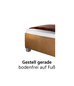 Programm MELODY FLEX
