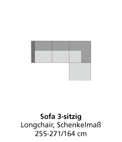 Programm BUDDY