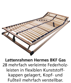 Programm MELODY PLUS