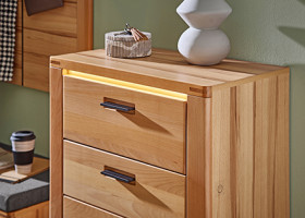 Programm vito CAMBRA in Wildbuche