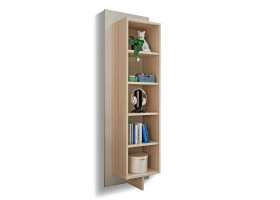 Regal vito Assume in Riva Eiche / Kaschmir